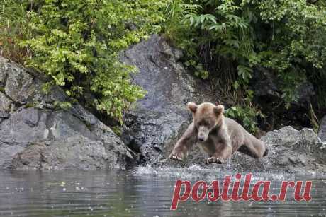 ПРЫЖОК В ВОДУ