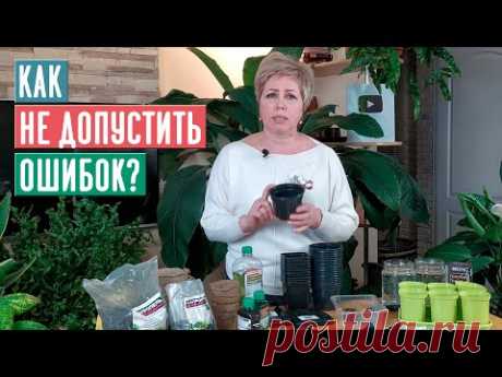 СЕЗОН 2020: ТАРА ДЛЯ ПОСАДКИ, улучшаем состав торфяных таблеток УСЛОВИЯ РОЗЫГРЫША / Садовый гид