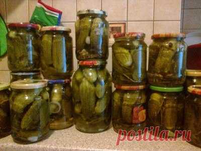 Сладенькие огурчики

Этим рецептом можно закрывать не только огурцы, но и помидоры, так же делать ассорти, в прошлый год я в 3-х литровую банку напихала огурцов, помидорок,перец болгарский порезала колечками, морковку, лук, цветную капусту, брюссельскую и кабачки-патиссоны. Получилось просто отлично!!! В этом году только огурцы успела сунуть, но позже всего гапихаю, обязательно!Овощи получаются сладенькие. огурцы хрустят. а уксуса совсем не чувствуется, про рассол вообще м...