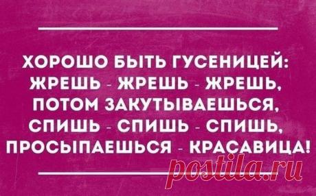26 заметок от гуру сарказма