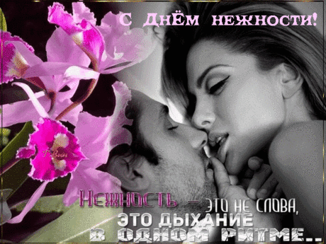 Нежности день наступил, мой друг,
Я вспомнил о нем сегодня случайно, вдруг,
И понял, что должен тебе написать,
И нежности в жизни тебе пожелать.