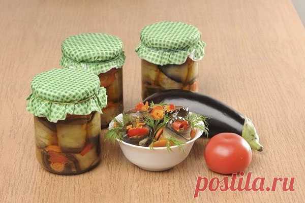 Рулетики из баклажанов с овощами на зиму