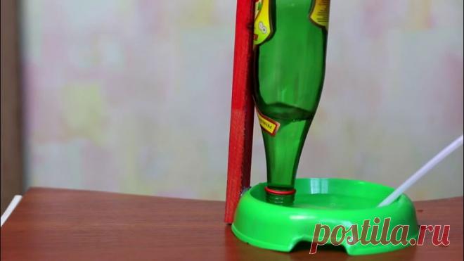 Советы, которые помогут в трудной ситуации