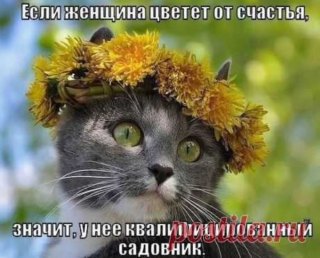И