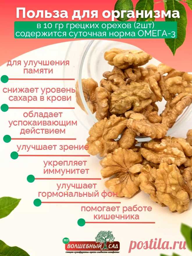 Грецкий орех - польза для организма