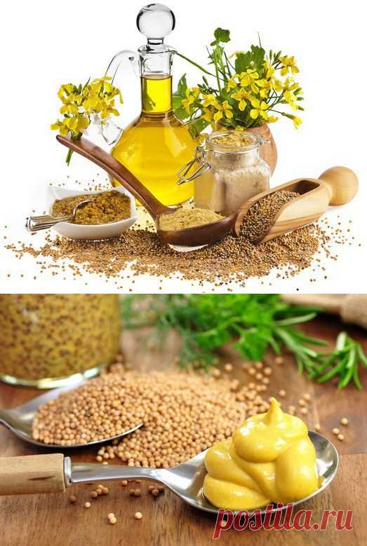 Как приготовить настоящую горчицу своими руками?
