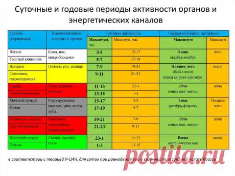 работа органов по часам в организме: 7 тыс изображений найдено в Яндекс.Картинках