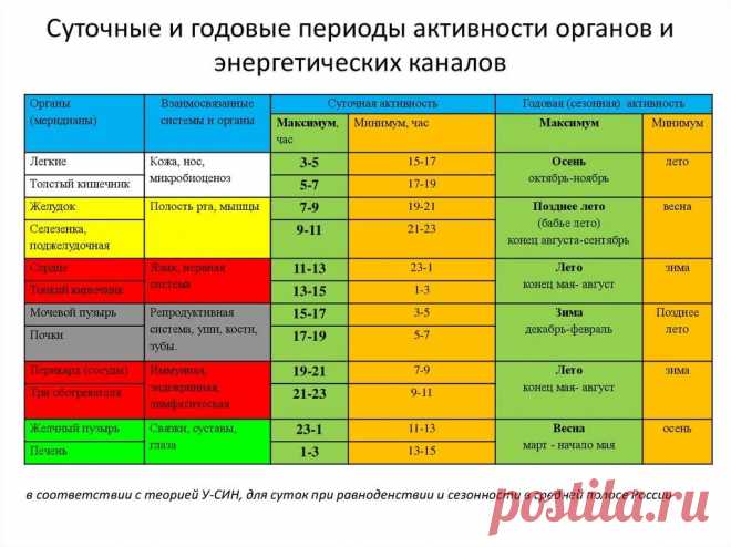 работа органов по часам в организме: 7 тыс изображений найдено в Яндекс.Картинках