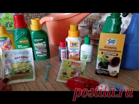 ОРХИДЕИ: ОБЗОР ВСЕХ МОИХ УДОБРЕНИЙ