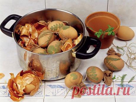 Использование луковой шелухи | Советы Народной Мудрости