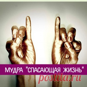 Мудра "Спасающая жизнь"