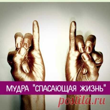Мудра &quot;Спасающая жизнь&quot;