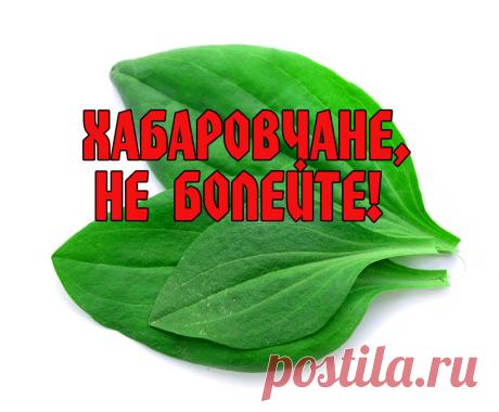 Хабаровчан "кинули" на антибиотики. Видимо, корону будут лечить подорожником. "Виновный" уволен прямо на заседании | Безумный Доктор | Яндекс Дзен