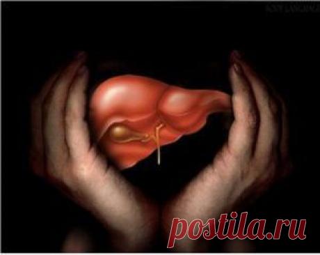 Послепраздничные желчегонные процедуры: рецепты для очищения печени | Советы Народной Мудрости