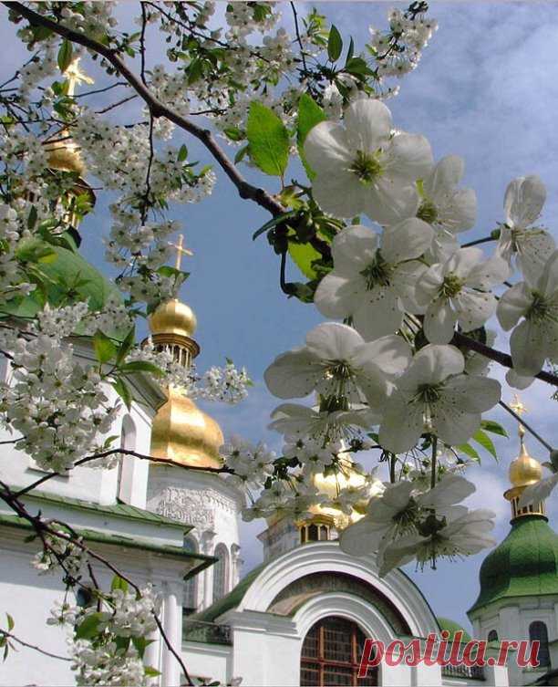 Дай Бог - всего хорошего, чего нет,
И сохрани Бог - то хорошее, что есть.
Марина Цветаева