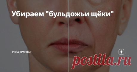 Убираем "бульдожьи щёки" Однажды, наступает день, когда отражение в зеркале уже не нравится, мы понимаем, что овал лица теряет былую чёткость. Причина этому — потеря тонуса целой группы мышц, которые отвечают за формирование нижней трети лица и поддержание ее очертаний. Самые крупные в этой группе -щёчные мышцы.
При потере тонуса щёчные мышцы, теряют свою эластичность и