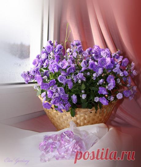 Розово-сиреневая нежность натюрмортов от фото-художников. | Сиреневый цвет в психологии, в интерьере и сочетание цветов.