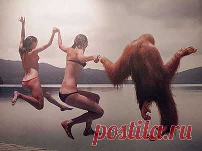 Самое интересное в мире: Придумайте, пожалуйста, подпись к этой картинке... - natali5357@mail.ru - Почта Mail.Ru