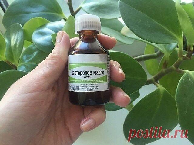 33 рецепта красоты одной строкой