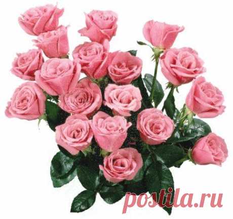 (64) Одноклассники