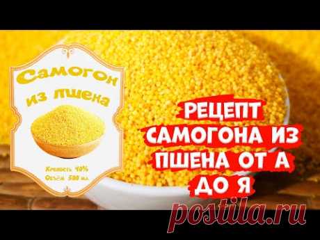 Рецепт самогон из пшена! (Люксталь 7М). Спиртовые турбо дрожжи LEYKA RED.