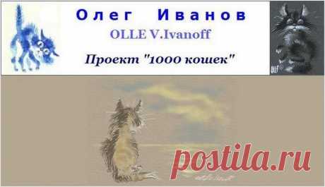 1000 кошек / Олег Иванов