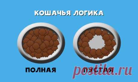 Кошачьей логики пост