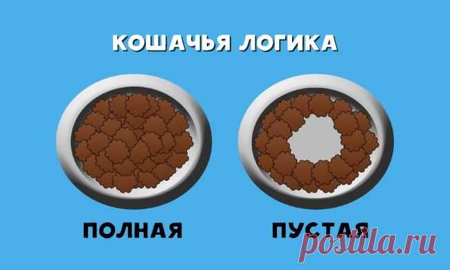 Кошачьей логики пост