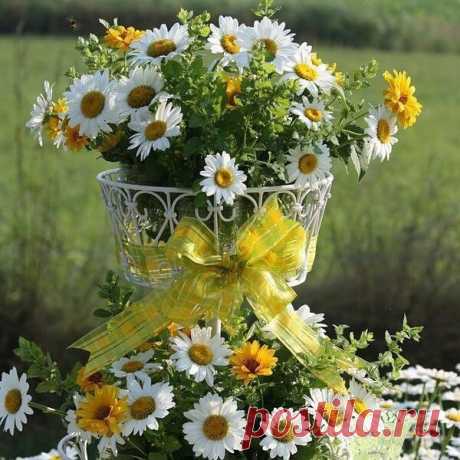 Сколько красоты в том, что зовется мелочами...
Эрих Мария Ремарк