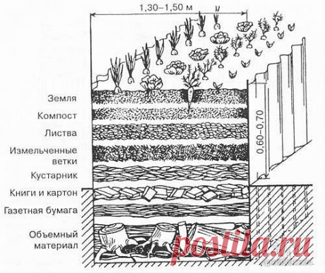 Теплые грядки своими руками: идеи, правила, полезные советы