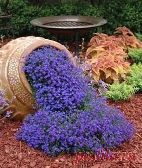 Идеи для дачи