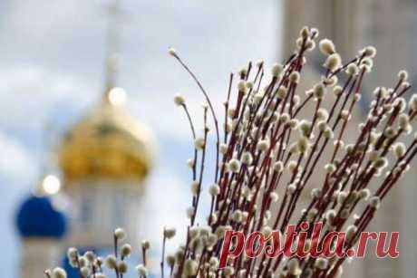 Возможна ли аллергическая реакция на вербные веточки Приближается Вербное Воскресенье, один из главных христианских праздников, который отмечается за неделю до Пасхи. В этот день принято приходить в церковь