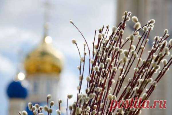 Возможна ли аллергическая реакция на вербные веточки Приближается Вербное Воскресенье, один из главных христианских праздников, который отмечается за неделю до Пасхи. В этот день принято приходить в церковь