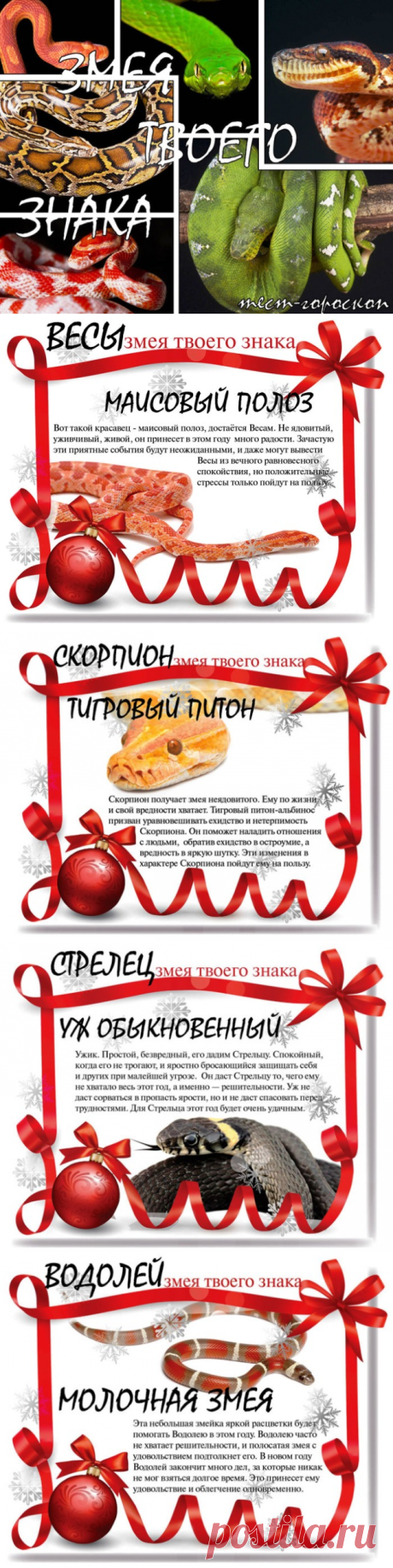 ЗМЕЯ ТВОЕГО ЗНАКА