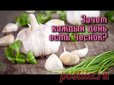 ЗАЧЕМ ЕСТЬ ЧЕСНОК КАЖДЫЙ ДЕНЬ?

А вы знаете, что полезные свойства чеснока не исчерпываются защитой от простуды? Каждый из нас по воле случая - хоть раз, но пробовал это специфическое растение — его белые зубчики отличаются резким ароматом, и внушительной жгучестью. Чеснок помогал нашим предкам сохранять сердце здоровым, а ум ясным. Поддерживал молодость и дарил бодрость. Можно петь дифирамбы чесноку часами, - но лучше испытать его чудотворную силу на себе!