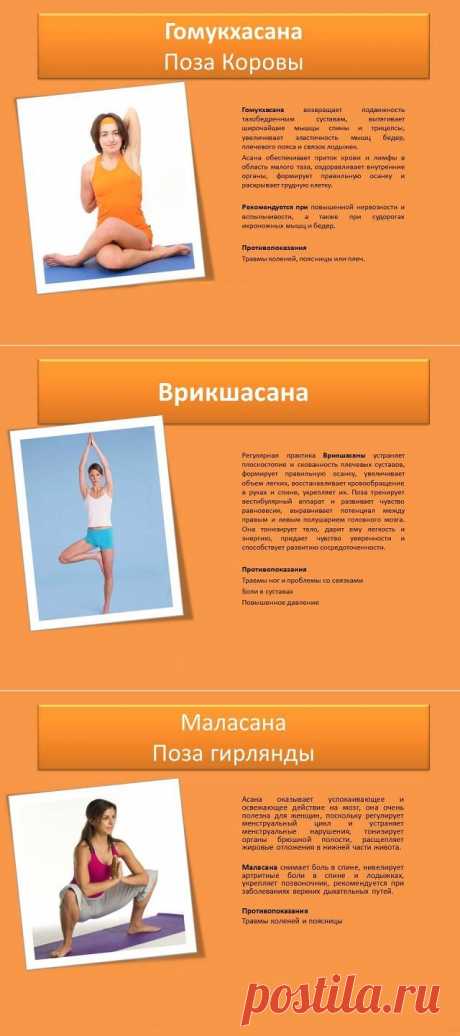 Одноклассники    Йога в картинках на каждый день: омолаживающий, оздоровительный эффект