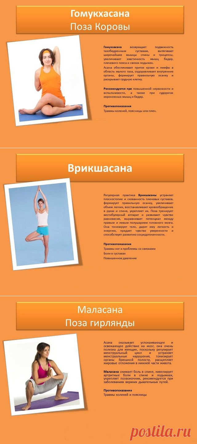 Одноклассники    Йога в картинках на каждый день: омолаживающий, оздоровительный эффект