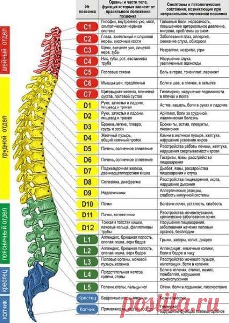 (20) Pinterest
