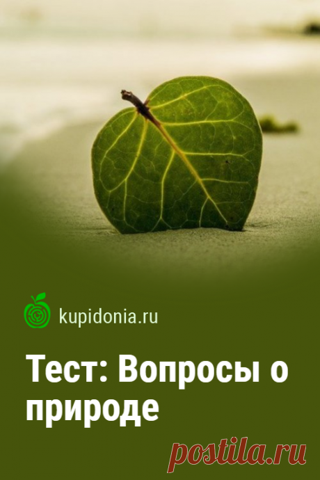 Тест: Вопросы о природе. Интересный познавательный тест с вопросами о природе разной сложности. Проверьте свои знания!