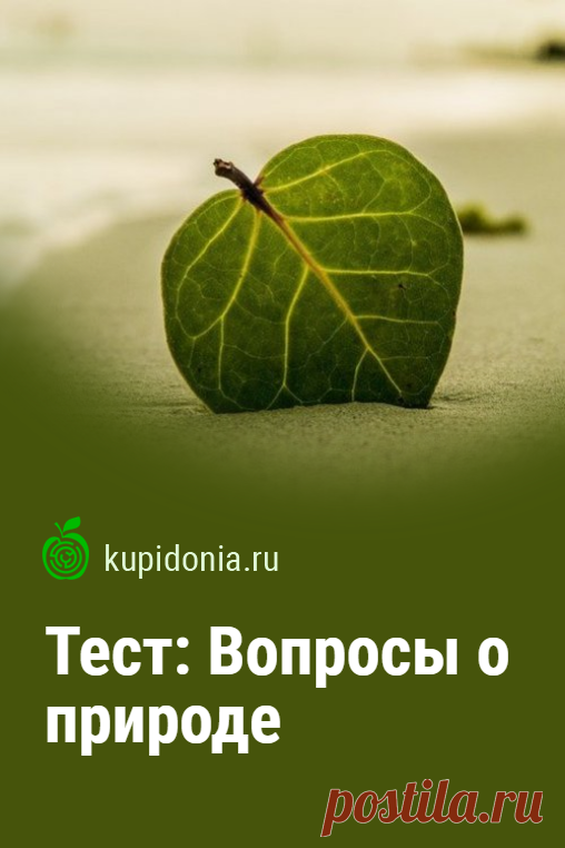 Тест: Вопросы о природе. Интересный познавательный тест с вопросами о природе разной сложности. Проверьте свои знания!