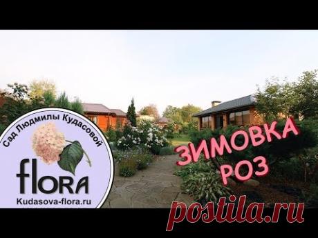 Зимовка Роз - Сад Людмилы Кудасовой