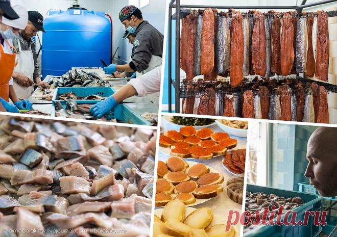 Рыбный завод в Магадане