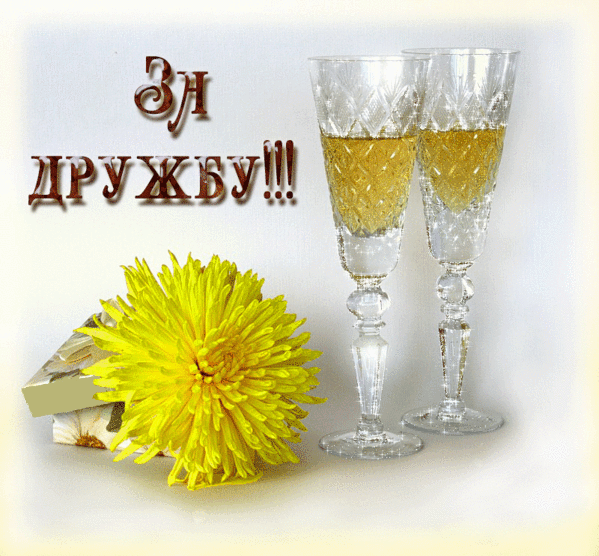 За друзей и дружбу!!!