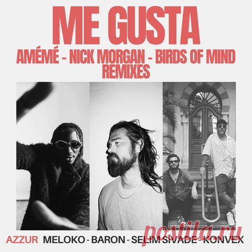 Meloko, Konvex (FR), Baron (FR), Selim Sivade – Me Gusta (AMÉMÉ, Nick Morgan, Birds of Mind Remixes) [AZZ83]