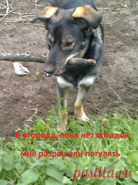 гуляю...