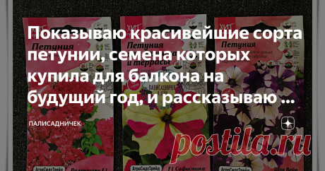 Показываю красивейшие сорта петунии, семена которых купила для балкона на будущий год, и рассказываю о каждом На днях я показывала, сколько прекрасных семян петунии накупила с огромными скидками, чтобы посеять в феврале. Их у меня теперь столько, что в одной записи и не показать. Поэтому вот пишу вторую. Кто с первой желает ознакомиться, кликайте по тексту, выделенному синим.  Итак, продолжаем. Семена от "АгроСидсТрейд" "Валентине F1" это сорт с компактными кустами высотой...