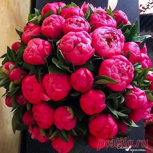 Заняться бы душой своей, да времени всё нет, —
За обсуждением душ чужих мы тратим много лет.
В своей бы жизни всё понять — где ложь, где тьма, где свет…
Не зря Екклезиаст сказал: «Всё - суета сует»…