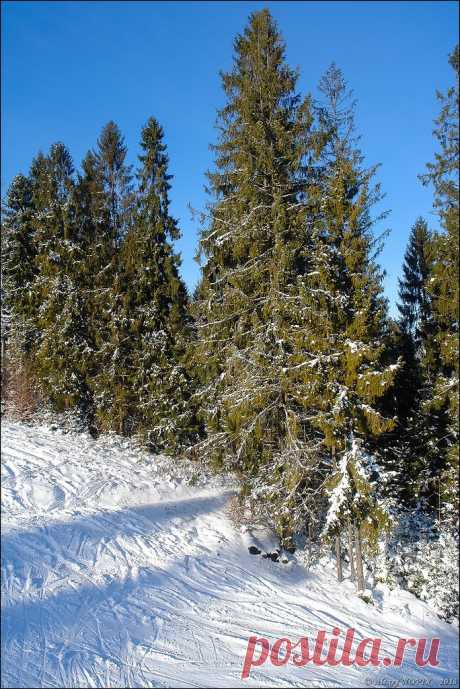 Фотопрогулки. Рождественская сказка Карпат
В Рождественский день я покажу вам рождественские картинки. 
Ровно год назад 7 января я был в зимних Карпатах. Катались на лыжах, но о лыжах в другой раз. 
Сегодня зимняя сказка 
Температура -20, под ногами хрустит снег, прозрачный воздух, зелено-голубые смереки,лучи солнца сквозь ветки, дымок из домиков в долинах 
Все это Рождественская сказка Карпат