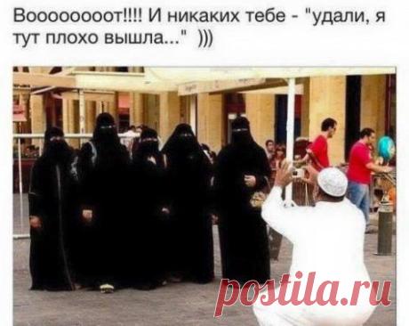 Прикольные картинки (50 шт)