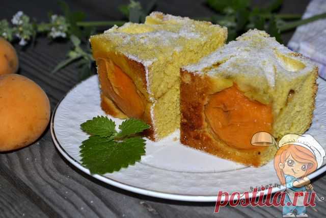 Шарлотка с абрикосами в духовке. Рецепт пышной выпечки с фото